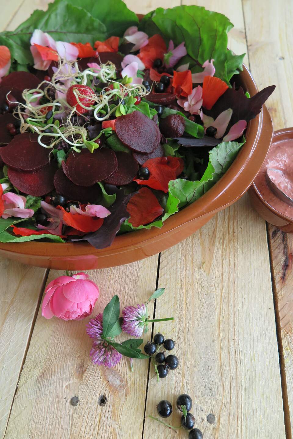 Hippe, zomerse rode bietensalade.